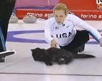 Curlingcat ?