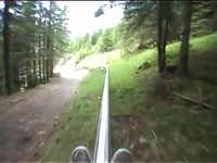 Descente en luge d'été