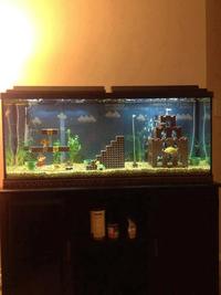 Aquario
