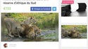 Enfin une bonne nouvelle
