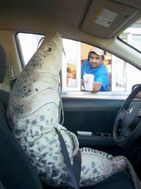 King fish