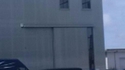 Ils sont partout 313