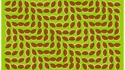 Effet optique à ovales