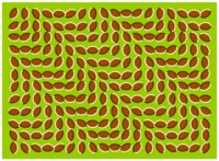 Effet optique à ovales