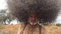 Coupe afro