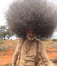 Coupe afro