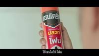 Insecticide contre termites