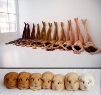 Evolution été/hiver