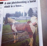 Photobombing