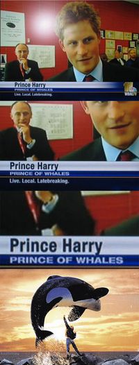 Le prince Harry