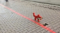 Petit chien
