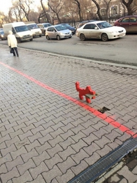 Petit chien