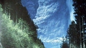 Eruption du mont St Helens (état de Washington) en 1980