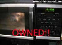 owneddog