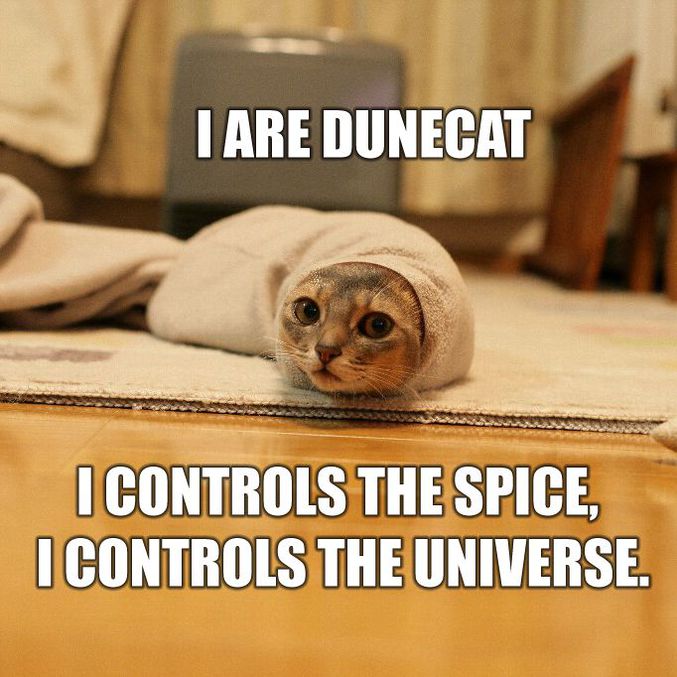 Le chat-ver-de-sable qui contrôle l'épice.