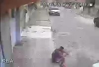 Un chien se fait un nouvel ami