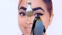 Mouetgouinception