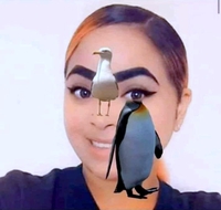 Mouetgouinception
