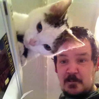 Une oreille de chat sur mesure
