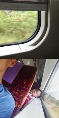 Quand tu n'arrives pas à fermer le volet dans le train