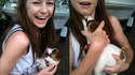 Petit chien