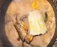 Être son dernier repas 