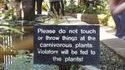Plantes carnivores