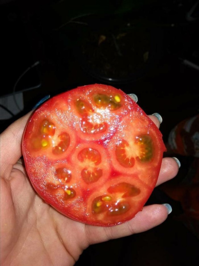 Des tomates dans une tomate.