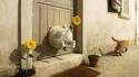 La revanche du chat 2