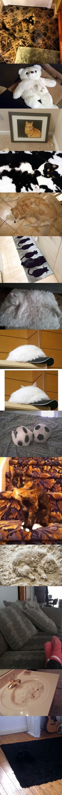 Chatmouflage.