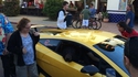 Juste un ours dans une lamborghini 