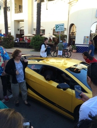 Juste un ours dans une lamborghini 