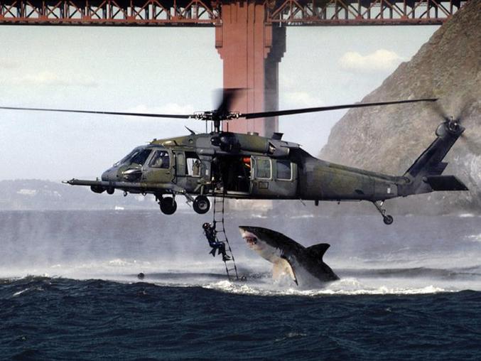 Un requin attaque un helicoptere militaire.