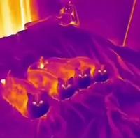 Le fond de l’air se rafraîchit 