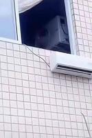 contrer le rechauffement climatique