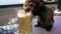 Santé !