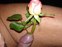 Dites lui avec une rose