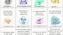Bullshit Facts – des faits absurdes qui sont pourtant complètement vrais