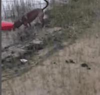 Non ! Tu ne partiras pas !