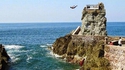 Le plongeon à Mazatlán