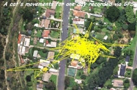 Qu'est ce qu'il fout de sa journée ce branleur de chat ?