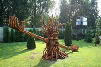 Bascule dans le jardin