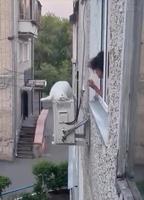 Heart attack FDP edition