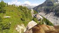 Vue à la première personne sur un aigle !