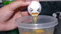 Oeuf sur la cuvette