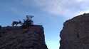 Traversée au petit matin