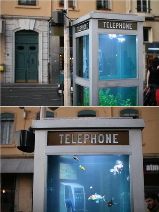 À Lyon, pour la fête des lumières, une cabine téléphonique transformée en aquarium