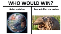 Un combat inégal