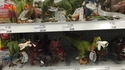 Figurines animalières