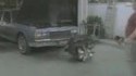 Moteur vivant